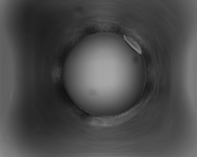 X0000100770033200806191250