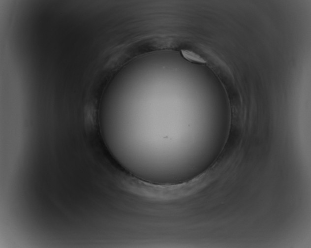 X0000100770035200806191250