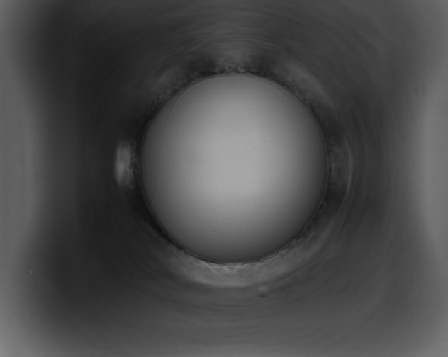 X0000100770038200806191250