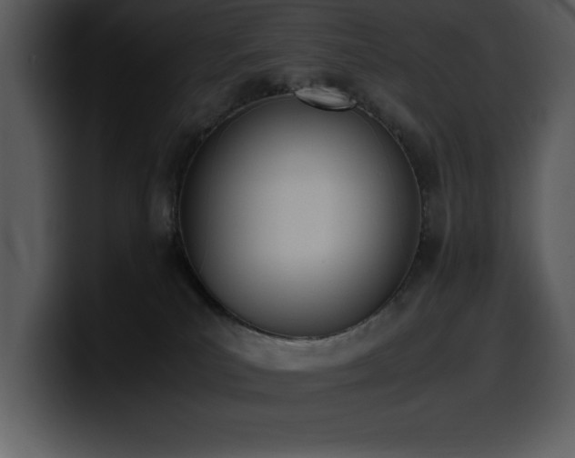X0000100770039200806191250