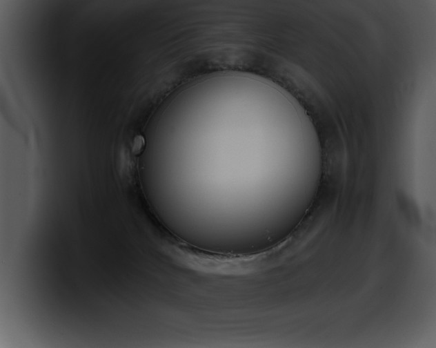 X0000100770040200806191250