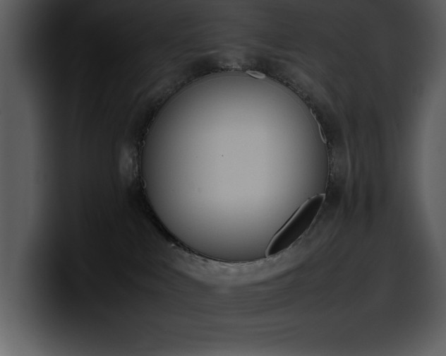 X0000100770043200806191250