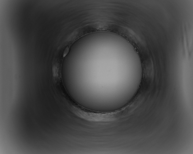 X0000100770044200806191250