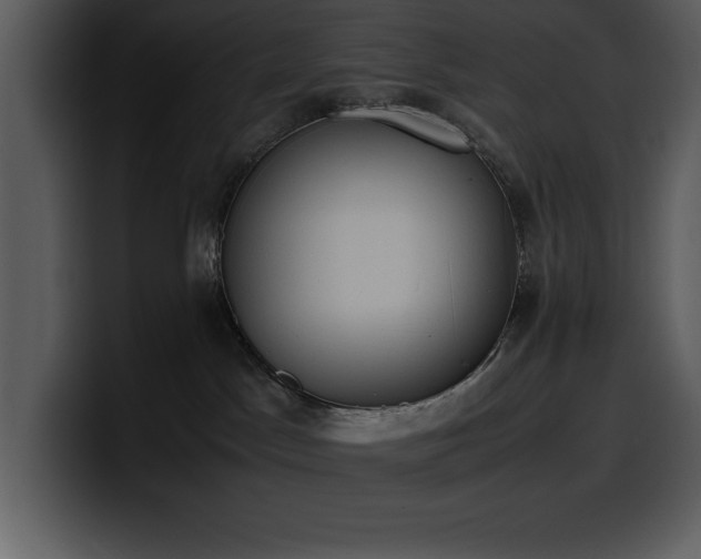 X0000100770045200806191250