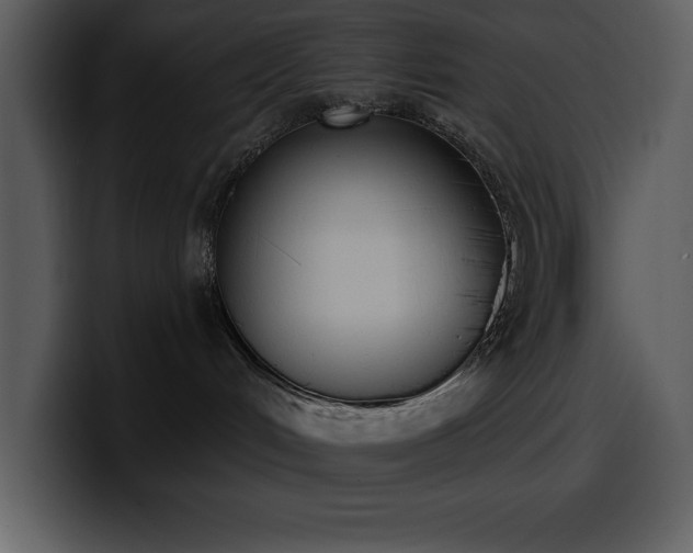 X0000100770048200806191250