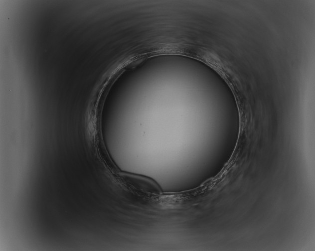 X0000100770050200806191250