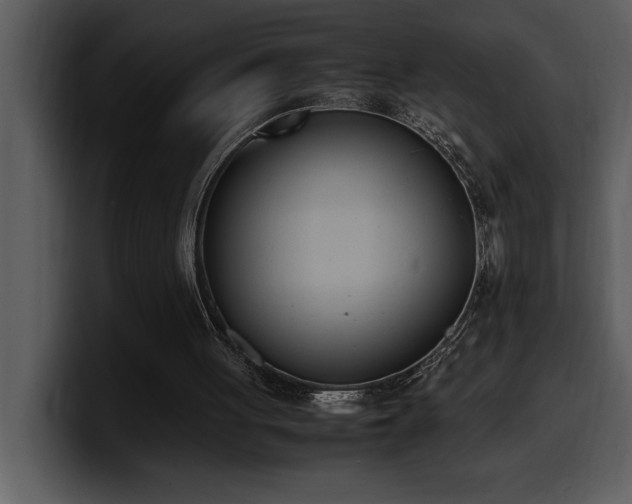 X0000100770051200806191250
