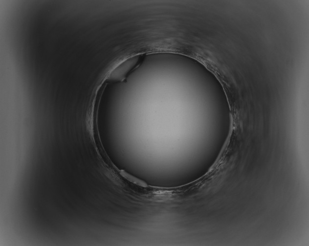 X0000100770052200806191250