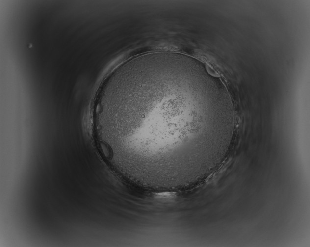 X0000100770053200806191250