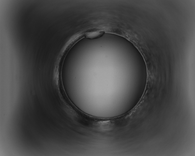 X0000100770054200806191250