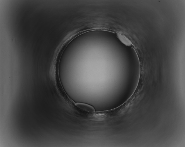 X0000100770055200806191250
