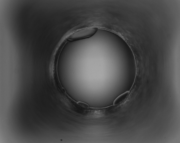 X0000100770056200806191250
