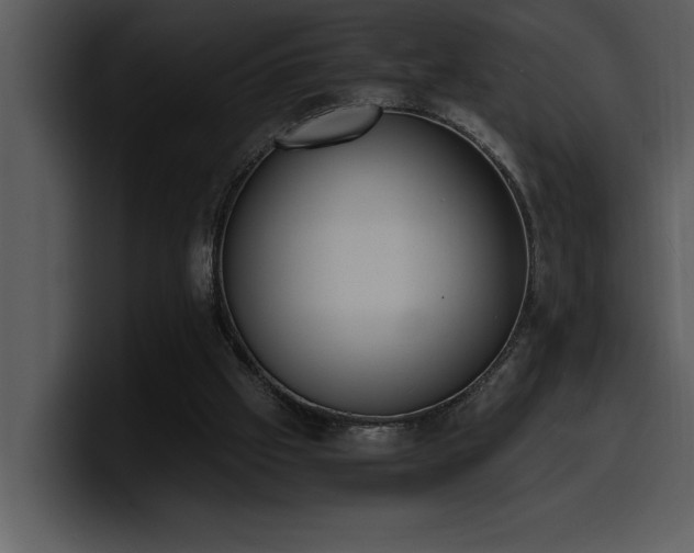 X0000100770057200806191250