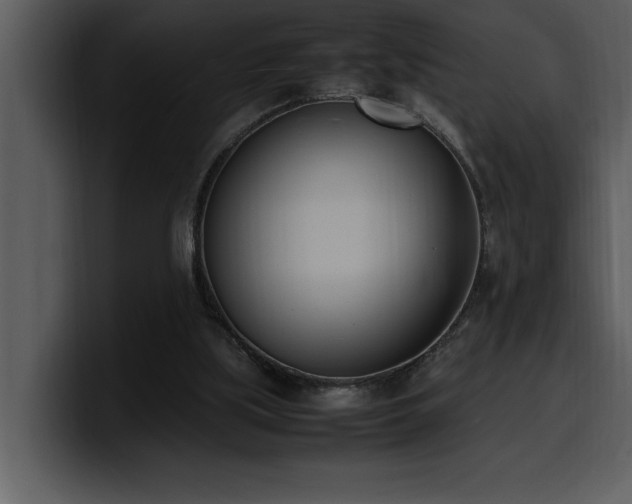 X0000100770059200806191250