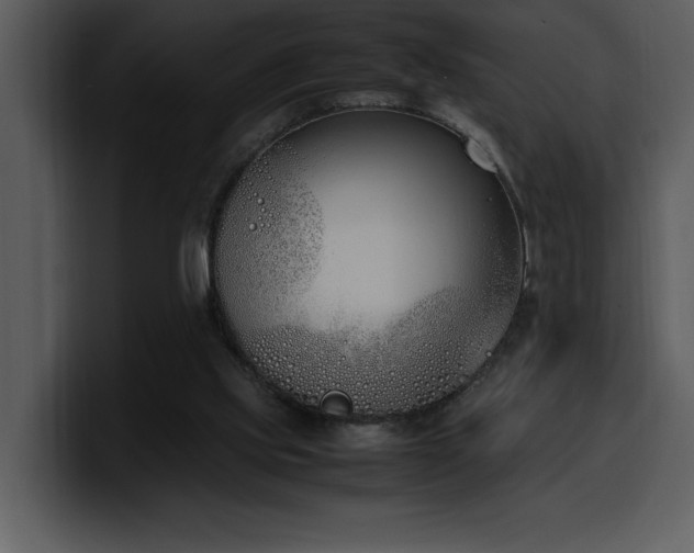 X0000100770061200806191250