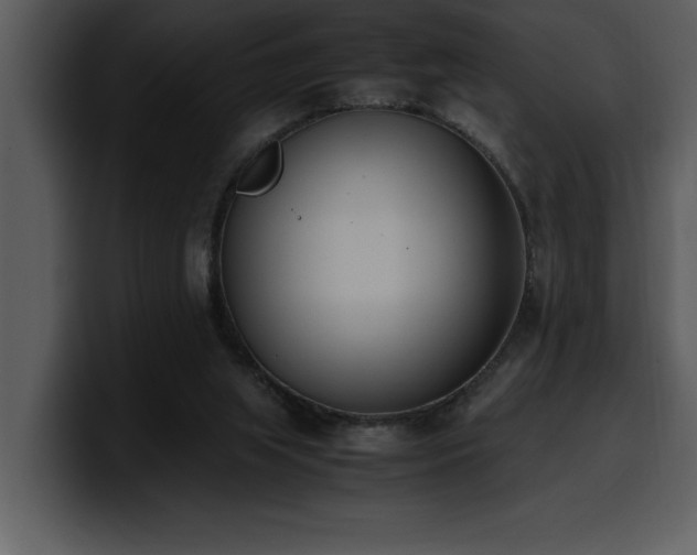 X0000100770063200806191250