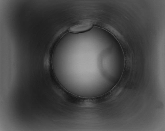 X0000100770064200806191250