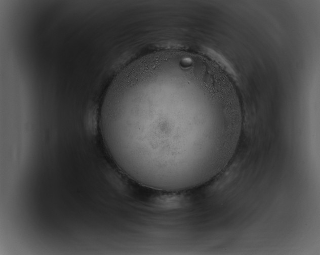 X0000100770065200806191250
