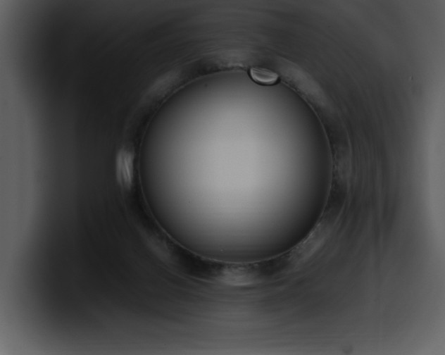 X0000100770070200806191250