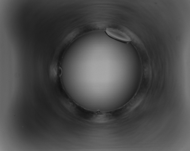 X0000100770072200806191250
