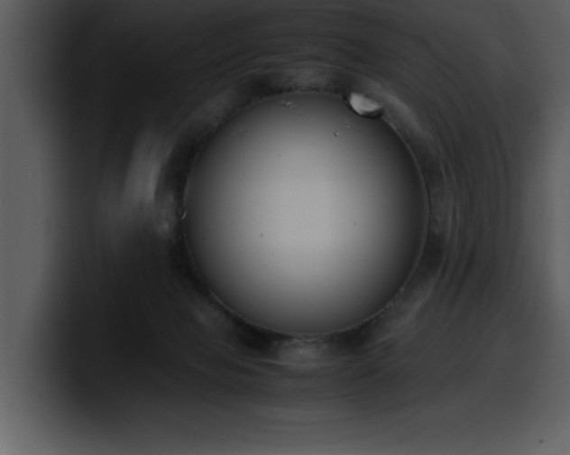 X0000100770077200806191250