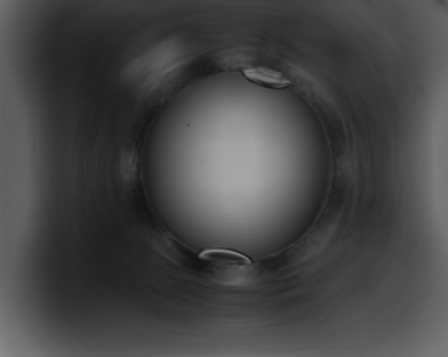 X0000100770081200806191250