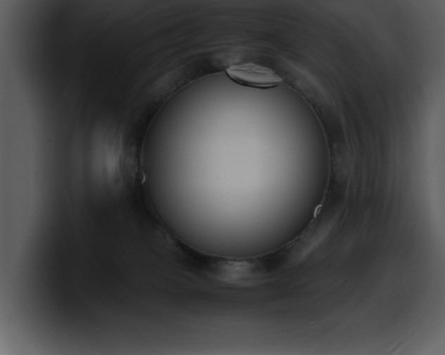X0000100770085200806191250