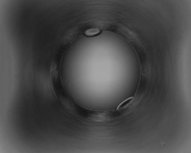 X0000100770086200806191250