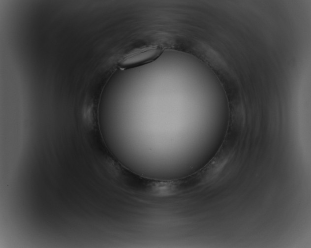 X0000100770088200806191250