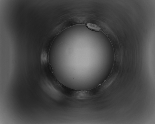 X0000100770089200806191250