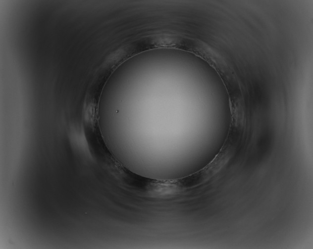 X0000100770093200806191250
