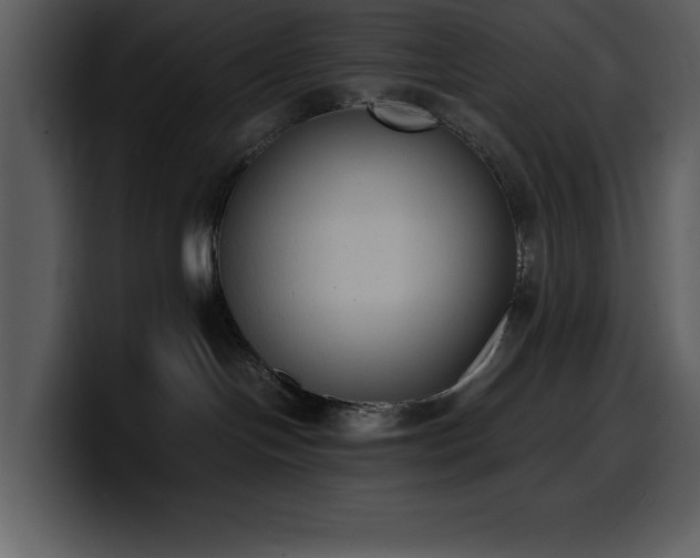 X0000100770094200806191250