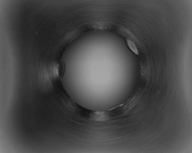 X0000100770095200806191250