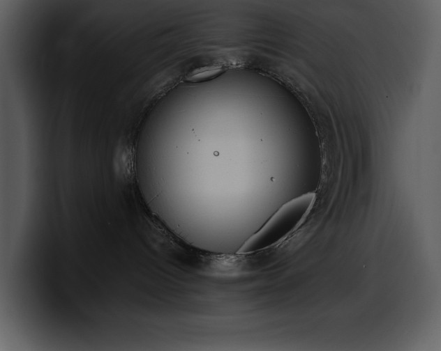 X0000100770096200806191250