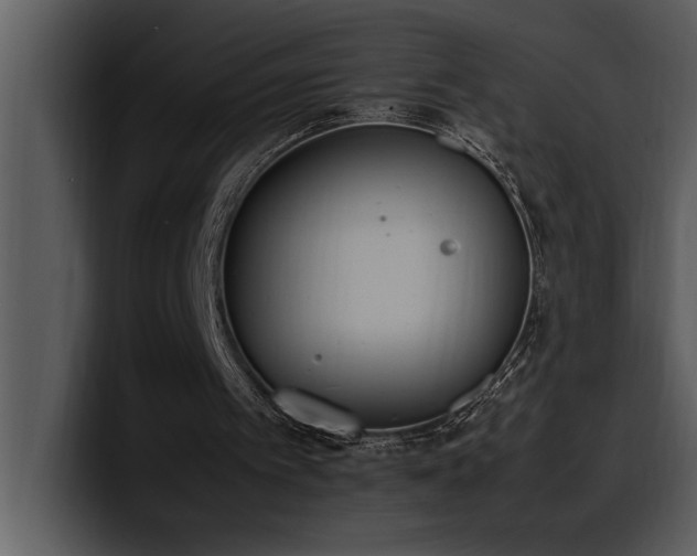 X0000100770097200806191250