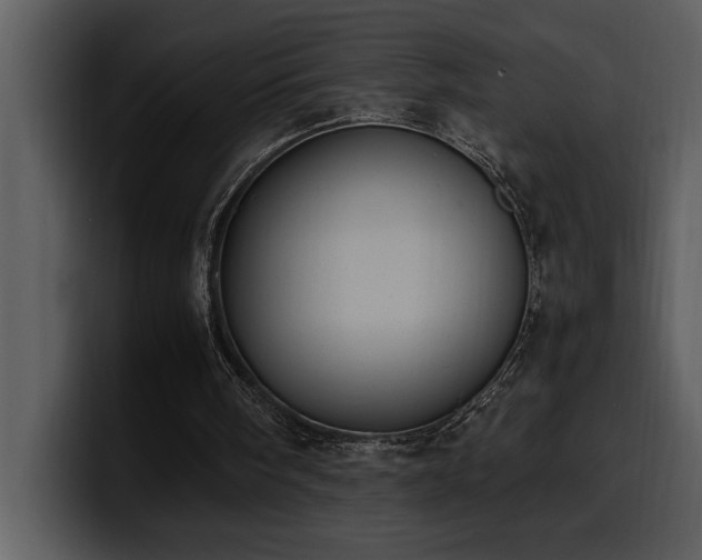 X0000100770098200806191250