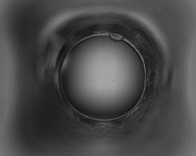 X0000100770099200806191250