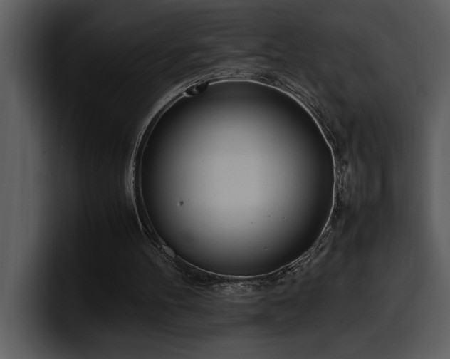 X0000100770100200806191250