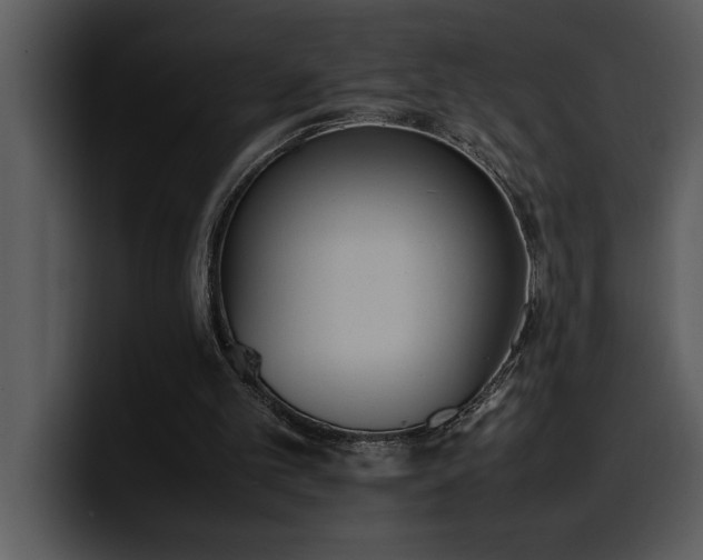 X0000100770101200806191249