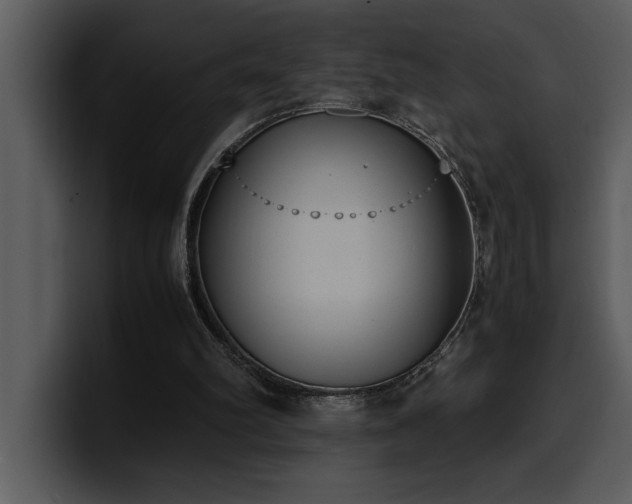X0000100770102200806191249