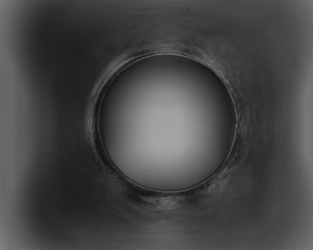 X0000100770103200806191249