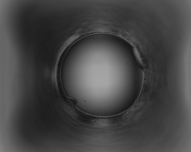 X0000100770104200806191249