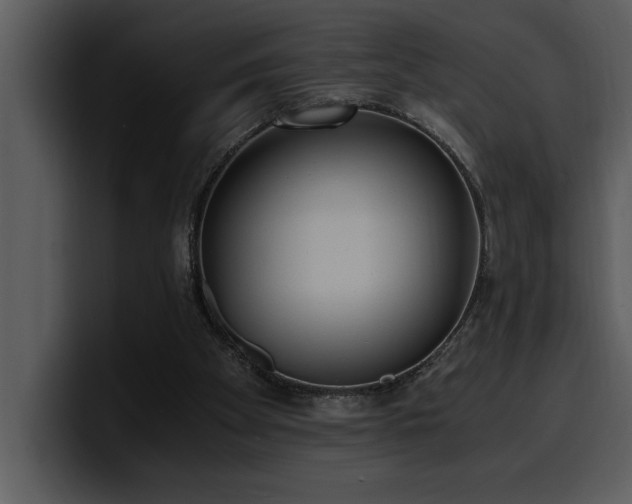 X0000100770105200806191249