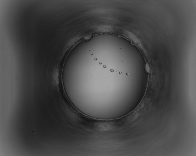 X0000100770106200806191249