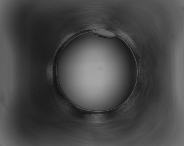 X0000100770108200806191249