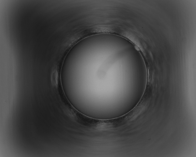 X0000100770109200806191249