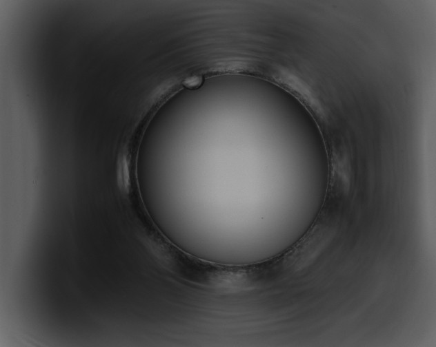 X0000100770110200806191249