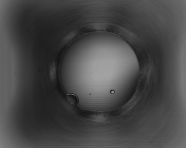 X0000100770120200806191249