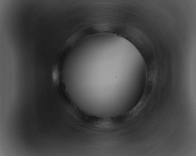 X0000100770124200806191249