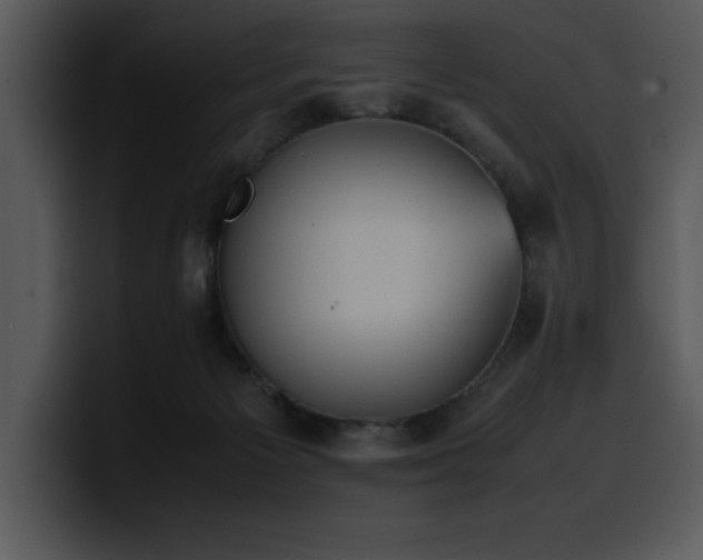 X0000100770125200806191249